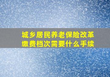 城乡居民养老保险改革缴费档次需要什么手续