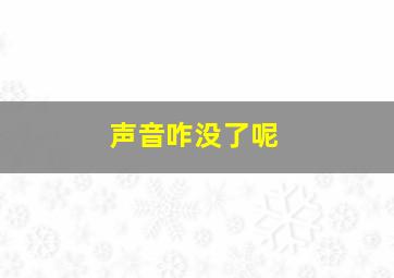 声音咋没了呢