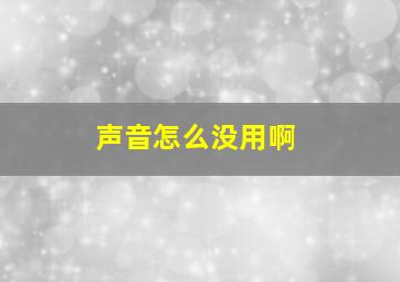 声音怎么没用啊