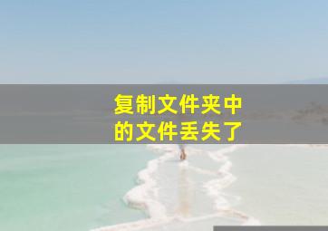 复制文件夹中的文件丢失了