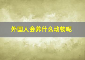 外国人会养什么动物呢