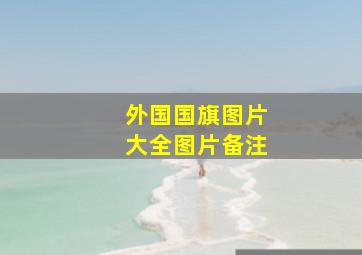 外国国旗图片大全图片备注