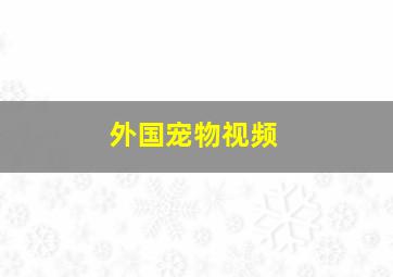 外国宠物视频