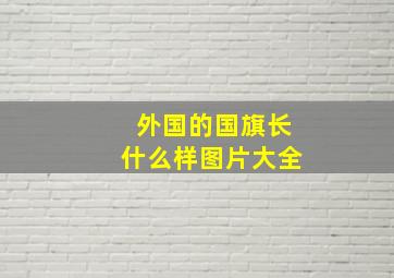 外国的国旗长什么样图片大全