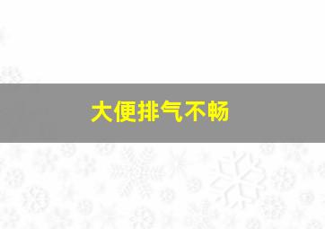 大便排气不畅