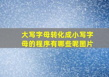 大写字母转化成小写字母的程序有哪些呢图片