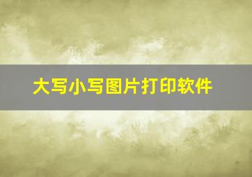 大写小写图片打印软件