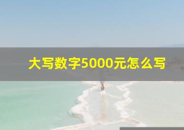 大写数字5000元怎么写