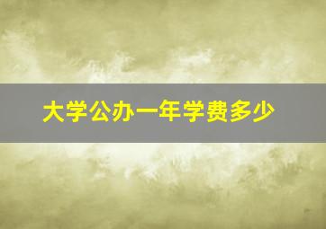 大学公办一年学费多少