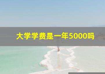 大学学费是一年5000吗