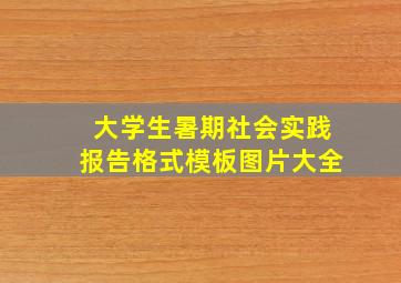 大学生暑期社会实践报告格式模板图片大全