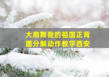 大扇舞我的祖国正背面分解动作教学西安