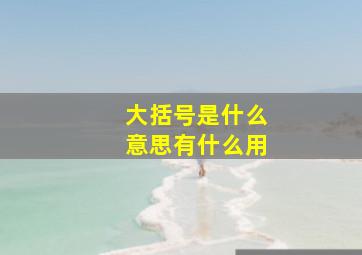 大括号是什么意思有什么用