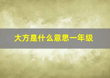 大方是什么意思一年级