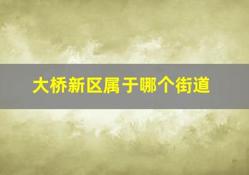 大桥新区属于哪个街道