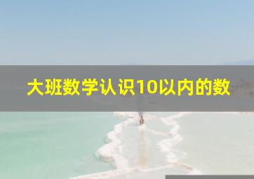 大班数学认识10以内的数