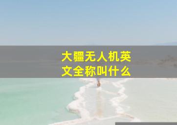 大疆无人机英文全称叫什么