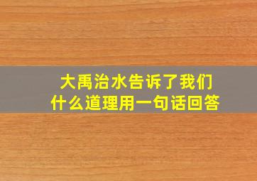 大禹治水告诉了我们什么道理用一句话回答