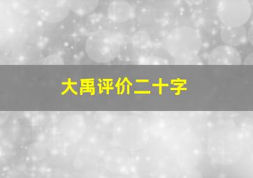 大禹评价二十字