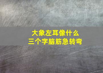 大象左耳像什么三个字脑筋急转弯