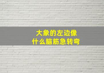 大象的左边像什么脑筋急转弯