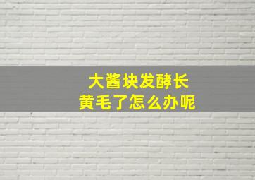 大酱块发酵长黄毛了怎么办呢