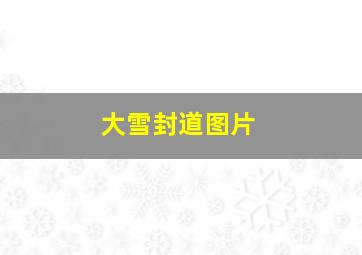 大雪封道图片