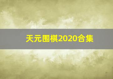 天元围棋2020合集