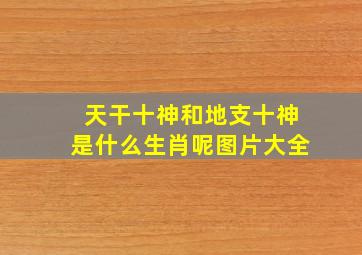 天干十神和地支十神是什么生肖呢图片大全