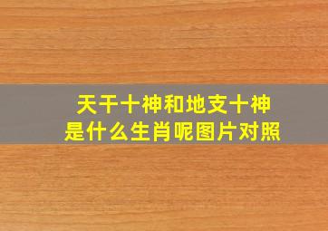 天干十神和地支十神是什么生肖呢图片对照