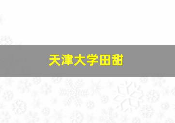 天津大学田甜