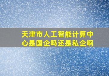 天津市人工智能计算中心是国企吗还是私企啊