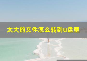 太大的文件怎么转到u盘里