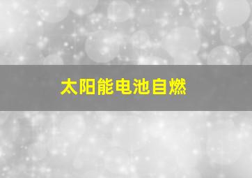 太阳能电池自燃