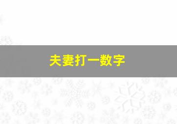 夫妻打一数字