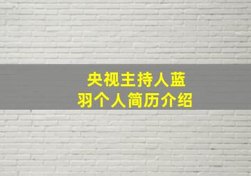 央视主持人蓝羽个人简历介绍