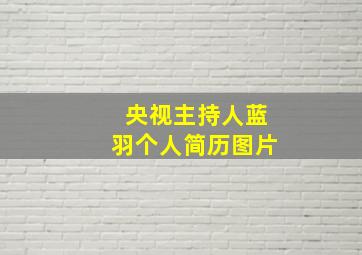 央视主持人蓝羽个人简历图片