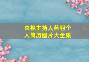 央视主持人蓝羽个人简历图片大全集