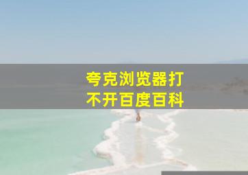 夸克浏览器打不开百度百科