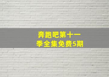 奔跑吧第十一季全集免费5期