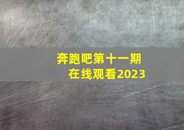 奔跑吧第十一期在线观看2023