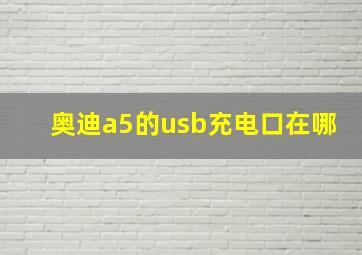 奥迪a5的usb充电口在哪