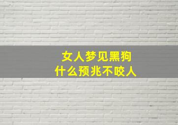 女人梦见黑狗什么预兆不咬人