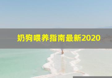 奶狗喂养指南最新2020