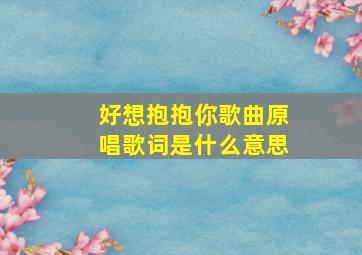 好想抱抱你歌曲原唱歌词是什么意思