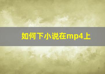 如何下小说在mp4上