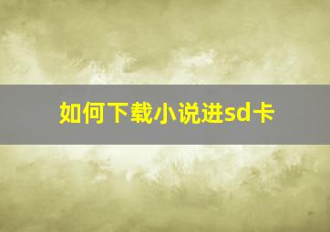 如何下载小说进sd卡