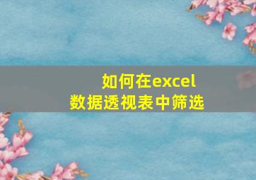 如何在excel数据透视表中筛选