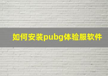 如何安装pubg体验服软件