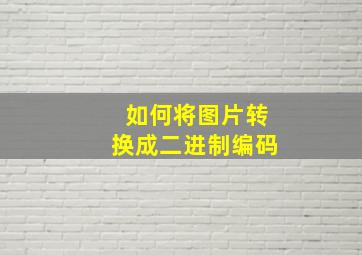 如何将图片转换成二进制编码